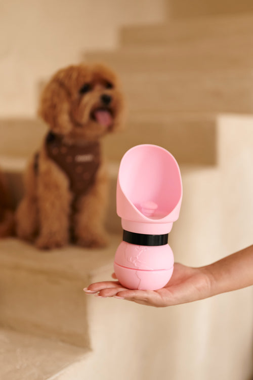 Collapsible Water Bottle — Pink