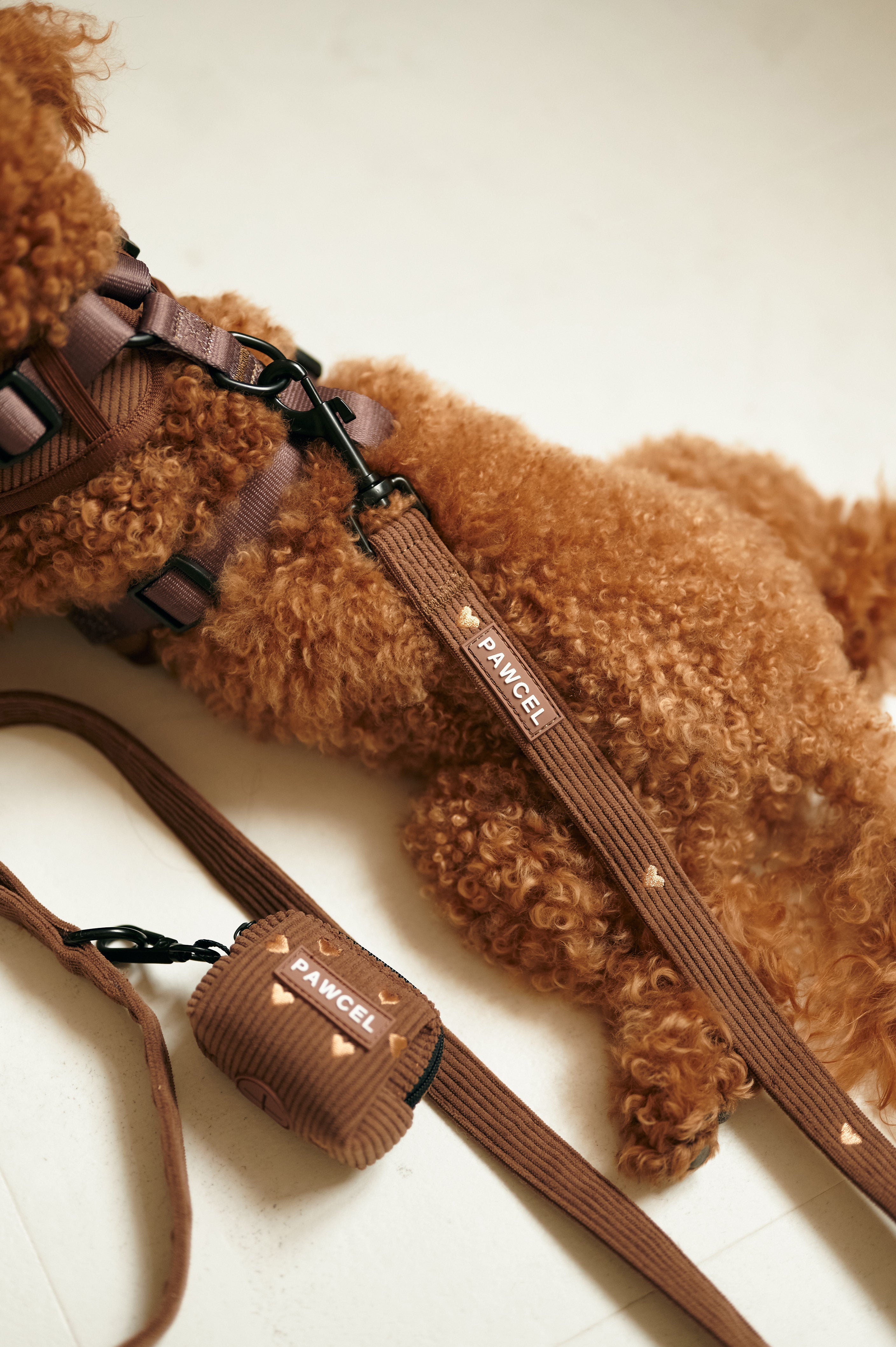 PAWCEL Walking Set — Brown Hearts